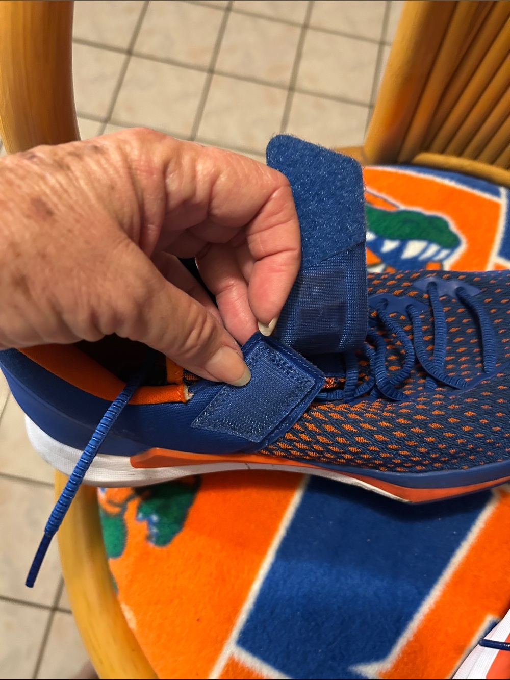 Florida gators - Picture 8 of 9
